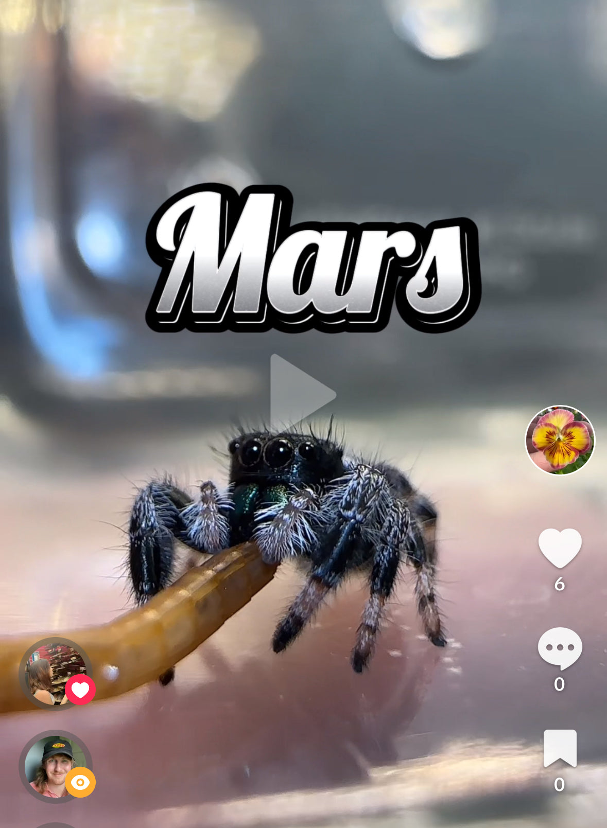 Mars
